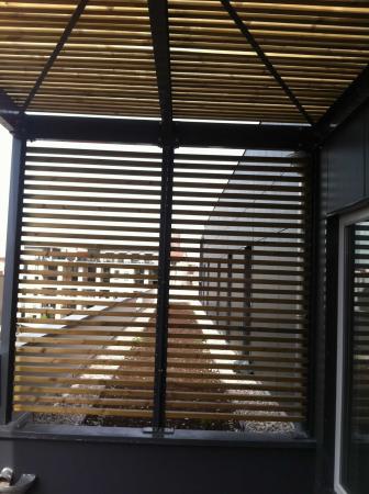 IMG_6856.jpg