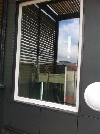 IMG_6861.jpg